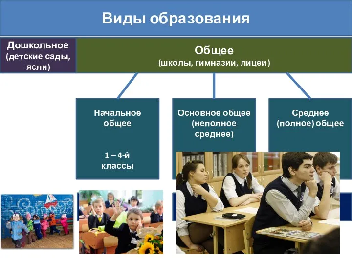 Виды образования Дошкольное (детские сады, ясли) Общее (школы, гимназии, лицеи) Начальное общее