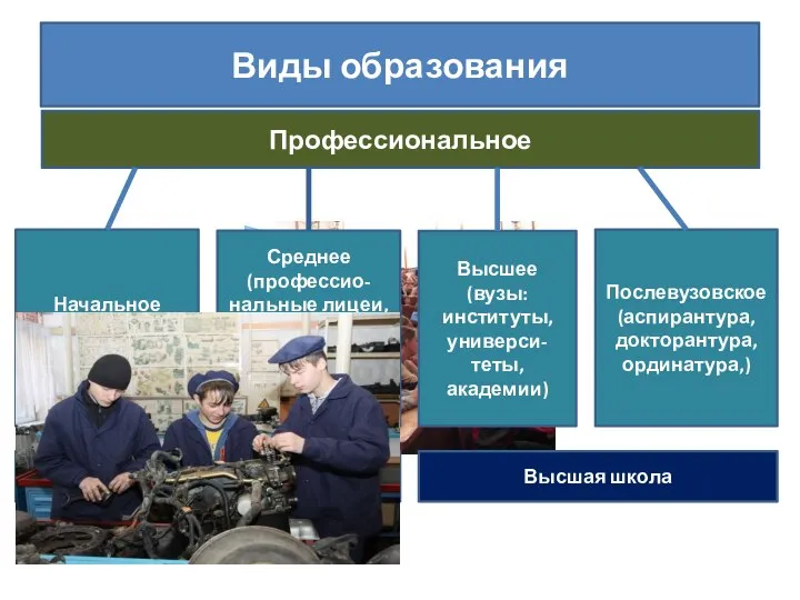 Виды образования Профессиональное Начальное (ТУ, ПТУ, ВПУ, училища Высшее (вузы: институты, универси-теты,