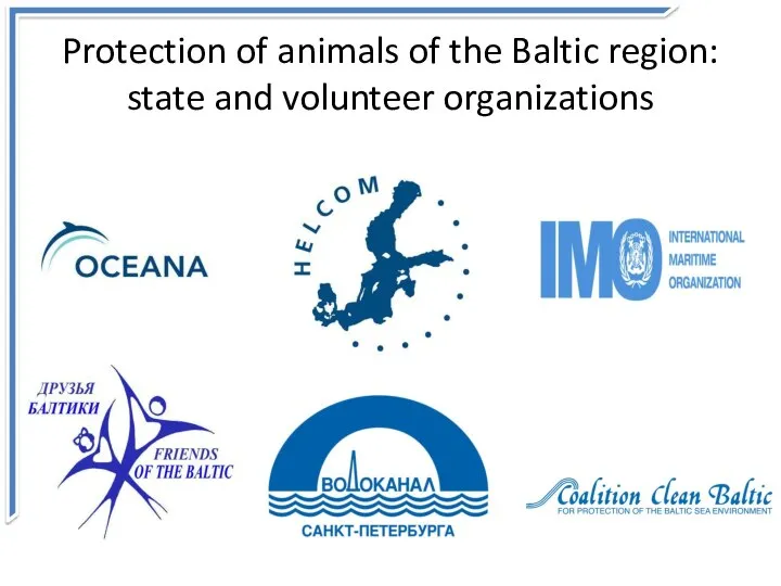 Protection of animals of the Baltic region: state and volunteer organizations