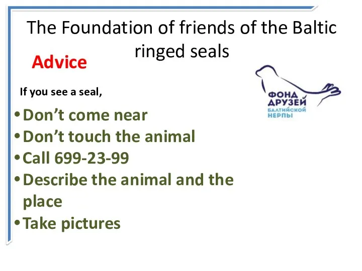 The Foundation of friends of the Baltic ringed seals Don’t come near