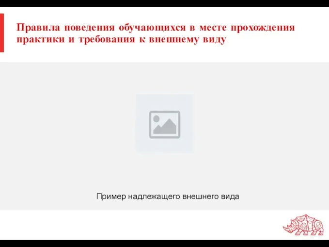 Правила поведения обучающихся в месте прохождения практики и требования к внешнему виду Пример надлежащего внешнего вида