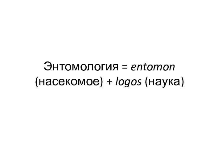 Энтомология = entomon (насекомое) + logos (наука)