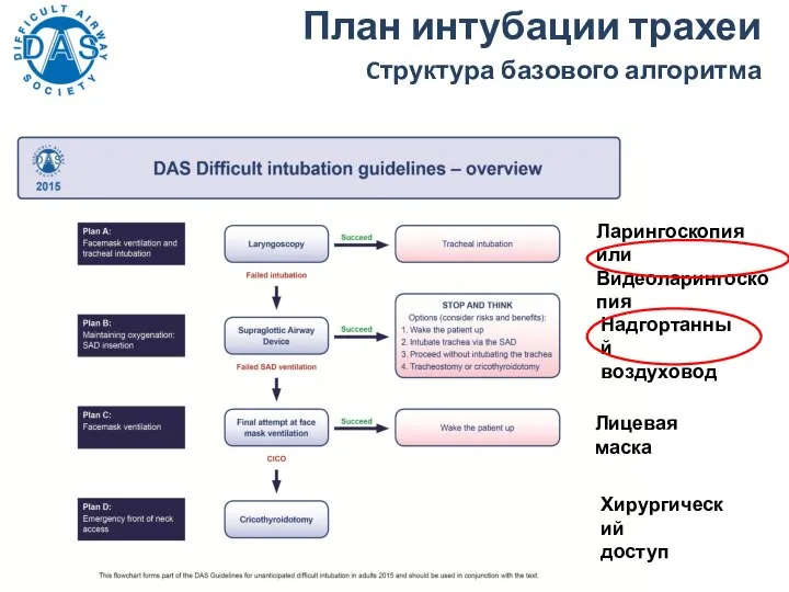 План интубации трахеи Cтруктура базового алгоритма Ларингоскопия или Видеоларингоскопия Надгортанный воздуховод Лицевая маска Хирургический доступ