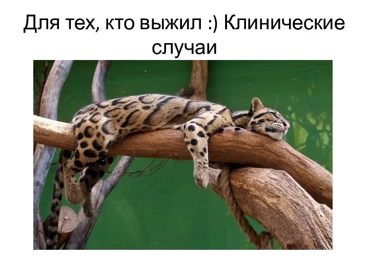 Для тех, кто выжил :) Клинические случаи