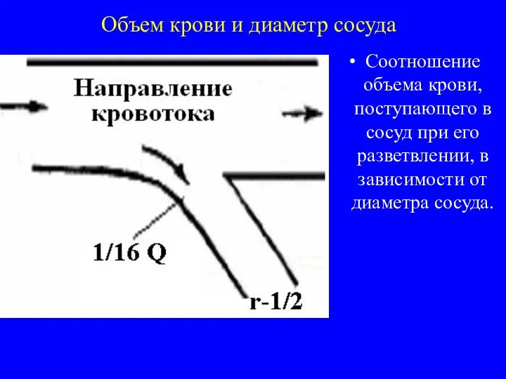 Объем крови и диаметр сосуда Соотношение объема крови, поступающего в сосуд при