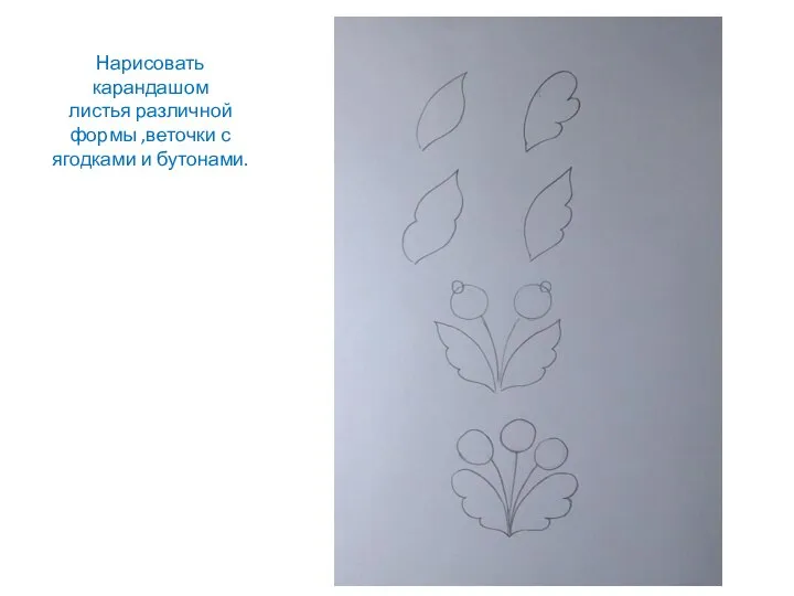 Нарисовать карандашом листья различной формы ,веточки с ягодками и бутонами.