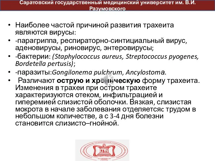 Наиболее частой причиной развития трахеита являются вирусы: -парагриппа, респираторно-синтициальный вирус, аденовирусы, риновирус,