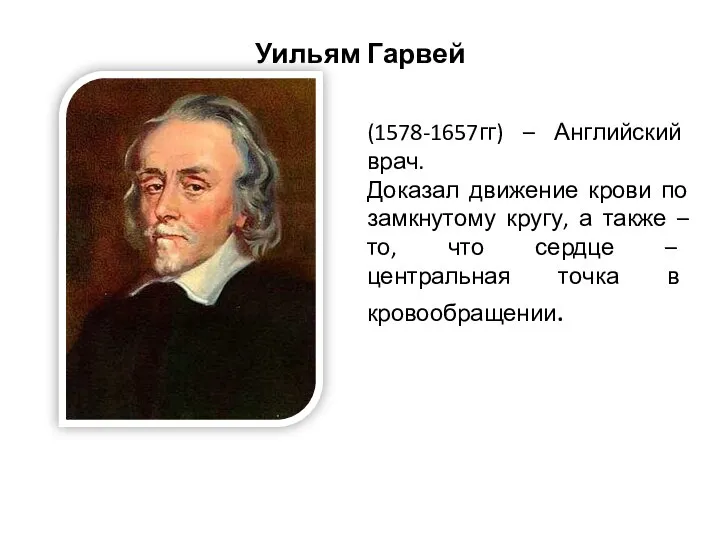 Уильям Гарвей (1578-1657гг) – Английский врач. Доказал движение крови по замкнутому кругу,