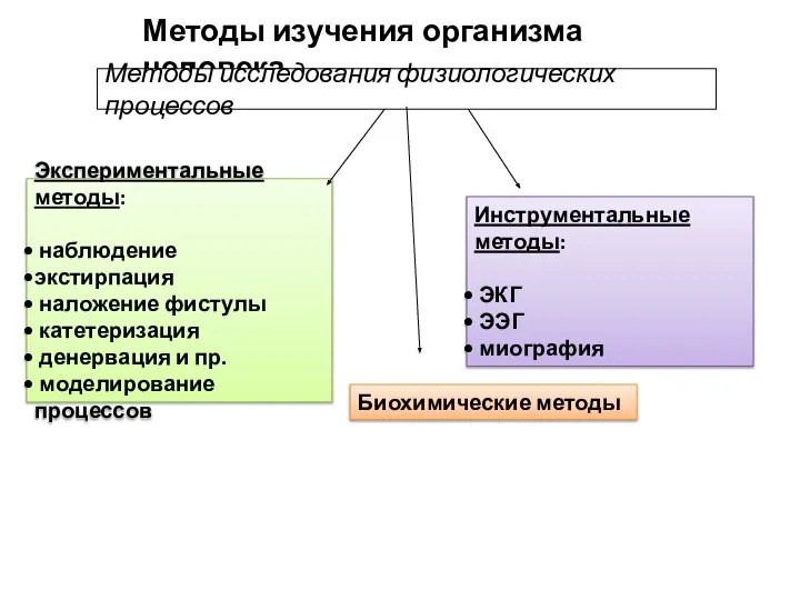 Методы изучения организма человека Экспериментальные методы: наблюдение экстирпация наложение фистулы катетеризация денервация