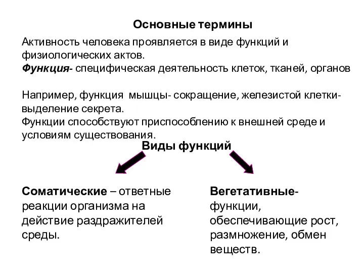 Активность человека проявляется в виде функций и физиологических актов. Функция- специфическая деятельность