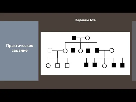 Задание №4 Практическое задание