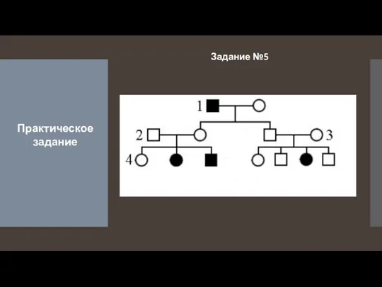 Задание №5 Практическое задание