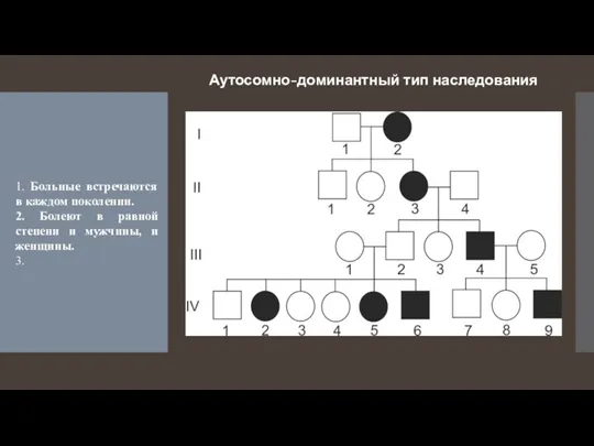 Аутосомно-доминантный тип наследования 1. Больные встречаются в каждом поколении. 2. Болеют в