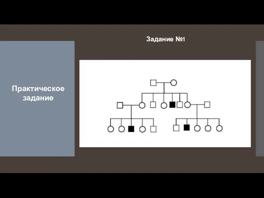 Задание №1 Практическое задание