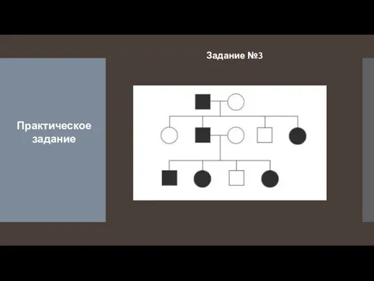 Задание №3 Практическое задание