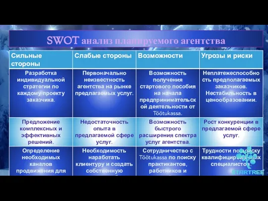 SWOT анализ планируемого агентства