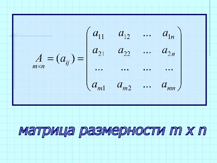 матрица размерности m x n