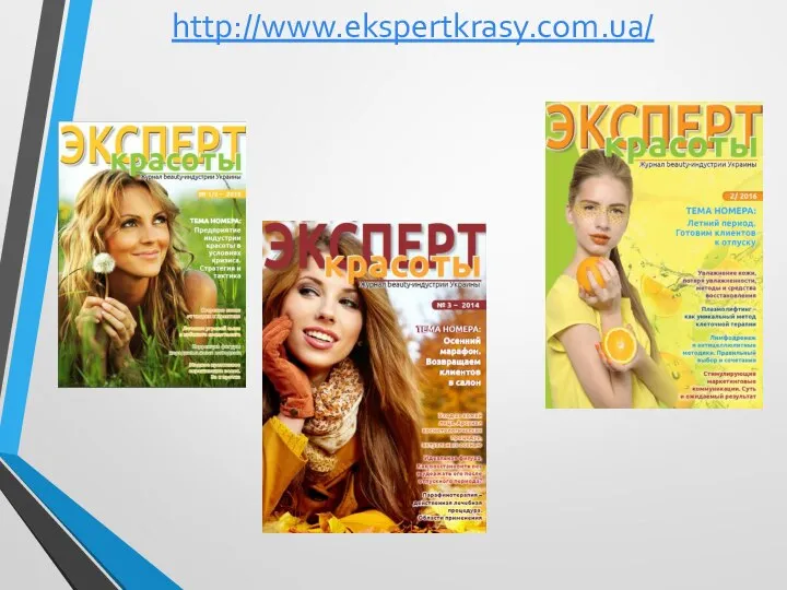 http://www.ekspertkrasy.com.ua/