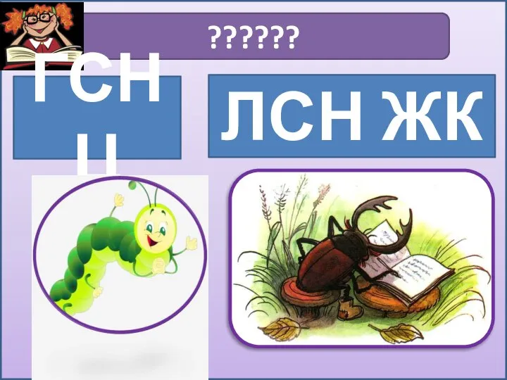 ?????? ГСНЦ ЛСН ЖК