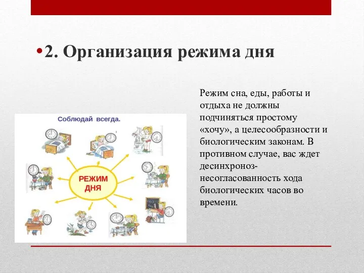 2. Организация режима дня Режим сна, еды, работы и отдыха не должны