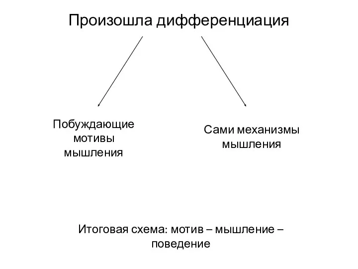 Произошла дифференциация Побуждающие мотивы мышления Сами механизмы мышления Итоговая схема: мотив – мышление – поведение