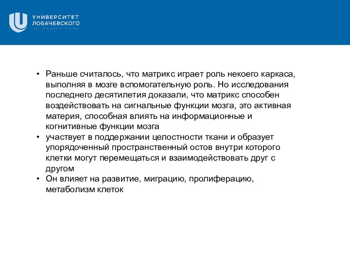 Раньше считалось, что матрикс играет роль некоего каркаса, выполняя в мозге вспомогательную