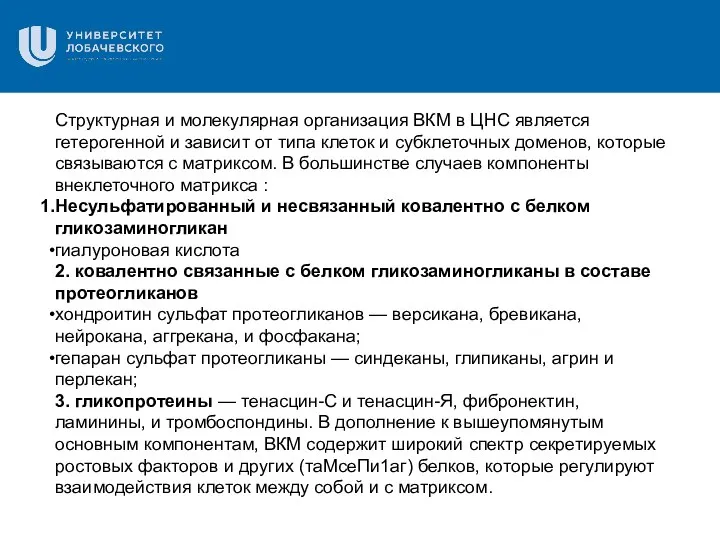 Структурная и молекулярная организация ВКМ в ЦНС является гетерогенной и зависит от