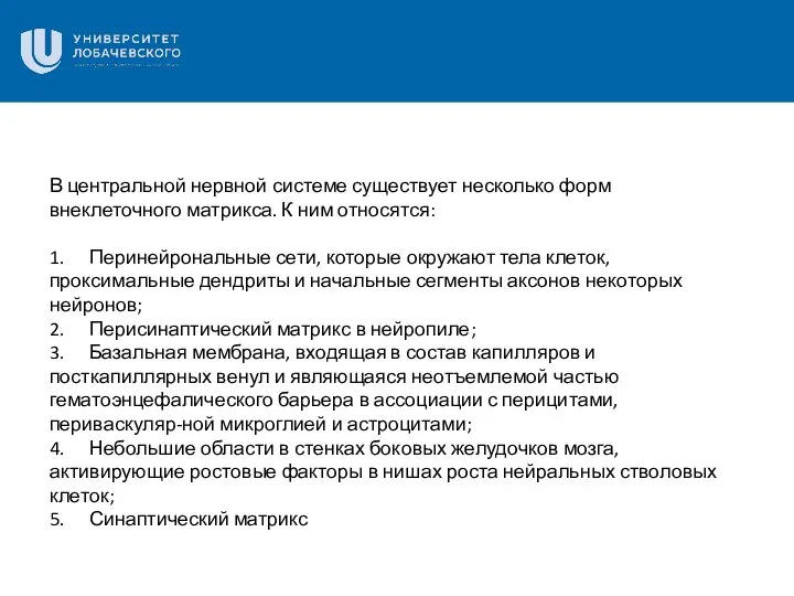 В центральной нервной системе существует несколько форм внеклеточного матрикса. К ним относятся: