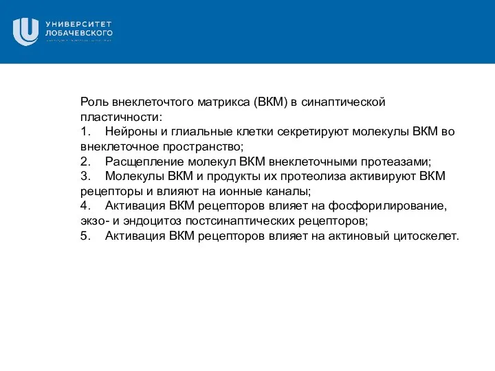 Роль внеклеточтого матрикса (ВКМ) в синаптической пластичности: 1. Нейроны и глиальные клетки