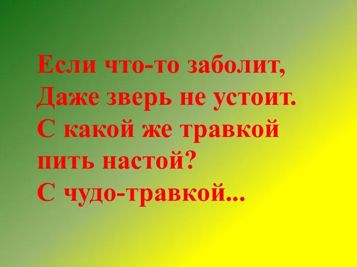 Если что-то заболит, Даже зверь не устоит. С какой же травкой пить настой? С чудо-травкой...