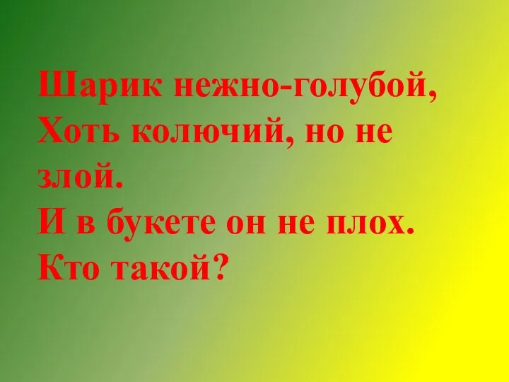 Шарик нежно-голубой, Хоть колючий, но не злой. И в букете он не плох. Кто такой?