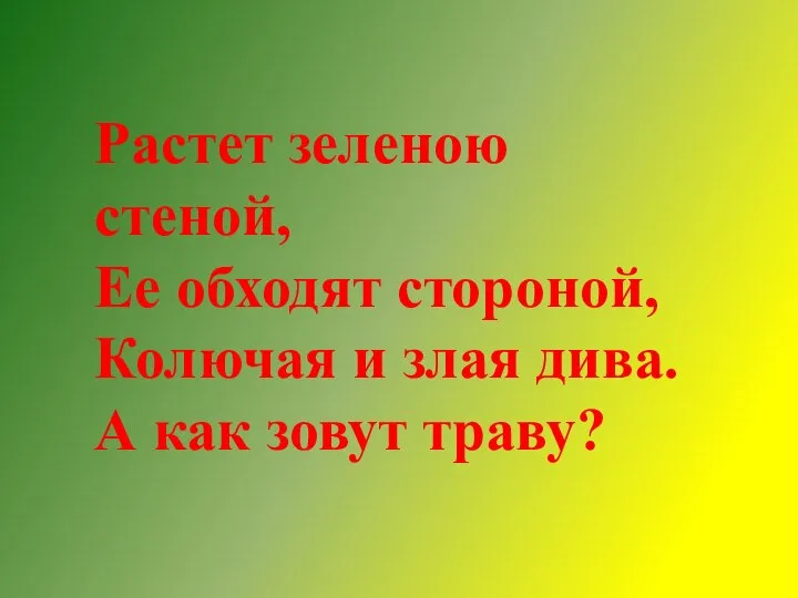 Растет зеленою стеной, Ее обходят стороной, Колючая и злая дива. А как зовут траву?