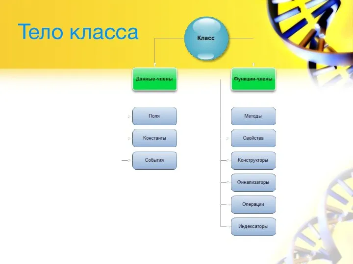 Тело класса