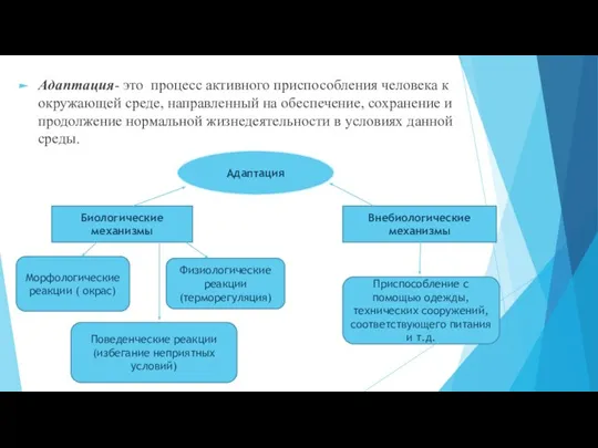 Адаптация- это процесс активного приспособления человека к окружающей среде, направленный на обеспечение,