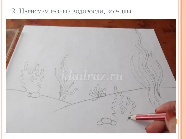 2. Нарисуем разные водоросли, кораллы