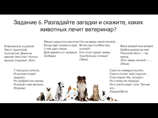 Задание 6. Разгадайте загадки и скажите, каких животных лечит ветеринар? И мохнатый,