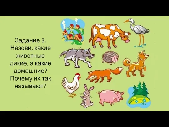 Задание 3. Назови, какие животные дикие, а какие домашние? Почему их так называют?