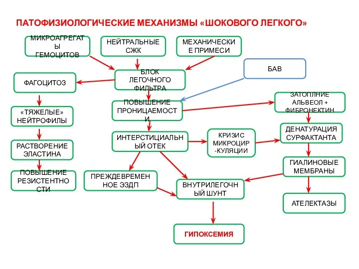 ПАТОФИЗИОЛОГИЧЕСКИЕ МЕХАНИЗМЫ «ШОКОВОГО ЛЕГКОГО» МИКРОАГРЕГАТЫ ГЕМОЦИТОВ НЕЙТРАЛЬНЫЕ СЖК МЕХАНИЧЕСКИЕ ПРИМЕСИ БЛОК ЛЕГОЧНОГО