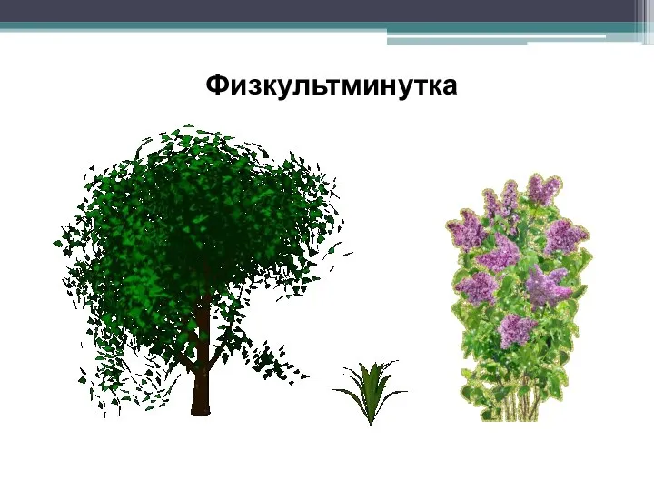 Физкультминутка