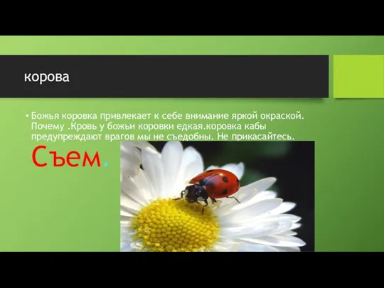 корова Божья коровка привлекает к себе внимание яркой окраской. Почему .Кровь у