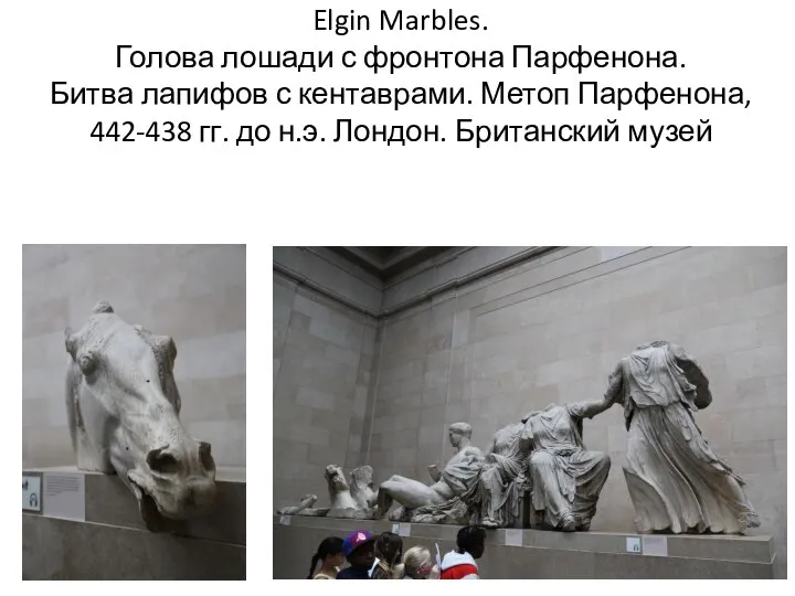 Elgin Marbles. Голова лошади с фронтона Парфенона. Битва лапифов с кентаврами. Метоп