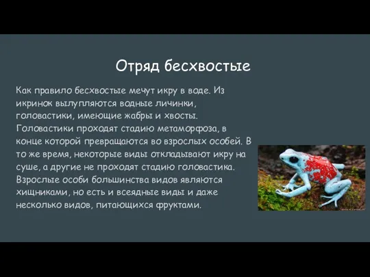 Отряд бесхвостые Как правило бесхвостые мечут икру в воде. Из икринок вылупляются