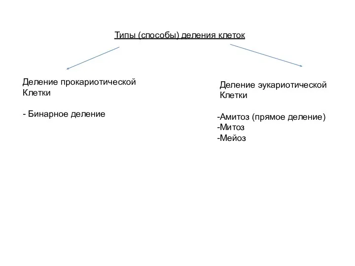 Типы (способы) деления клеток Деление прокариотической Клетки - Бинарное деление Деление эукариотической