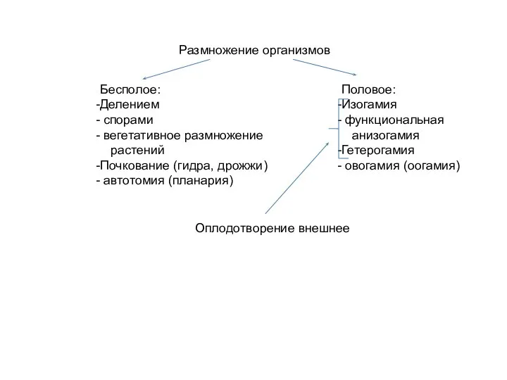 Размножение организмов Бесполое: Делением спорами вегетативное размножение растений Почкование (гидра, дрожжи) автотомия