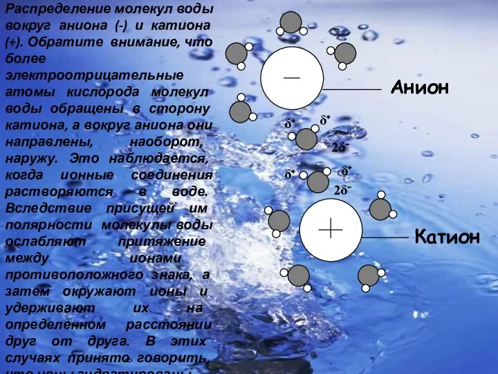 Анион δ⁺ δ⁺ 2δ⁻ Катион δ⁺ δ⁺ 2δ⁻ Распределение молекул воды вокруг