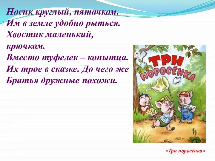 Носик круглый, пятачком. Им в земле удобно рыться. Хвостик маленький, крючком. Вместо