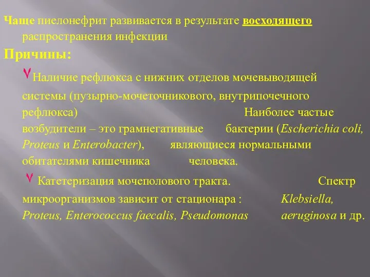 Чаще пиелонефрит развивается в результате восходящего распространения инфекции Причины: ٧Наличие рефлюкса с