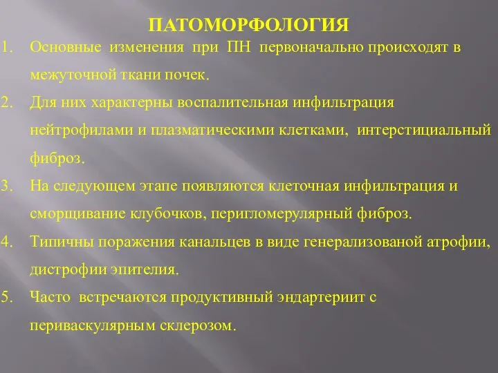 ПАТОМОРФОЛОГИЯ Основные изменения при ПН первоначально происходят в межуточной ткани почек. Для