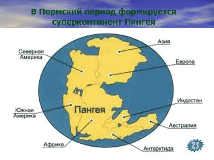 В Пермский период формируется суперконтинент Пангея