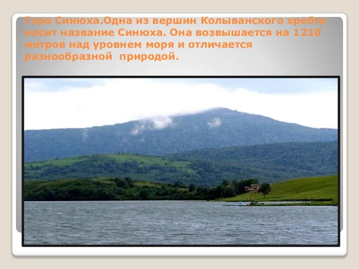 Гора Синюха.Одна из вершин Колыванского хребта носит название Синюха. Она возвышается на